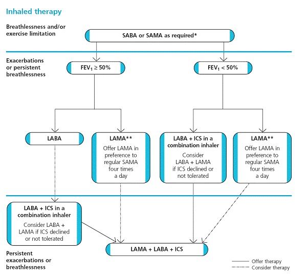 Copd Medications Chart